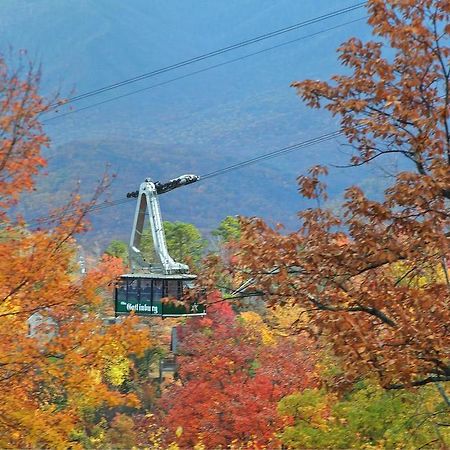 Cajun Hideaway Holiday Home 개틀린버그 외부 사진