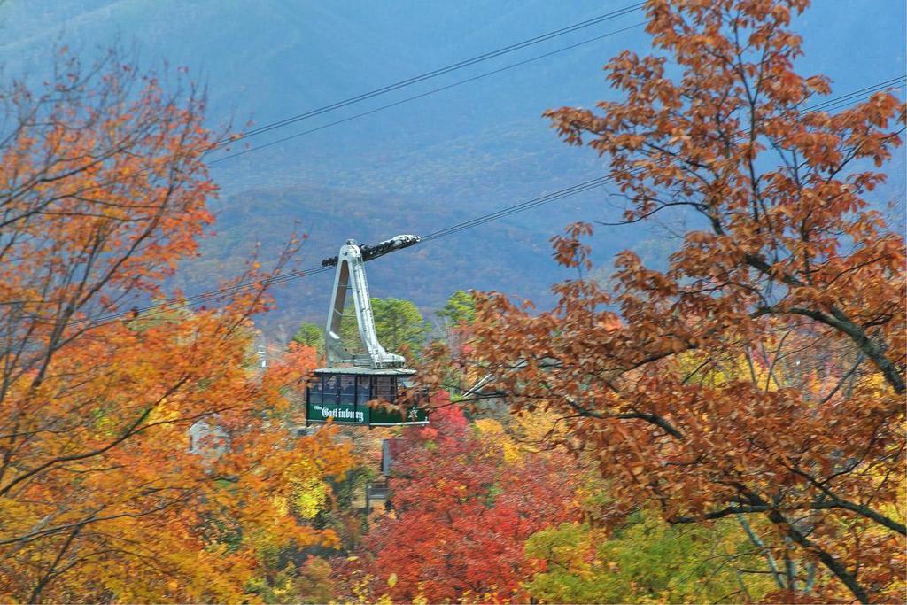 Cajun Hideaway Holiday Home 개틀린버그 외부 사진